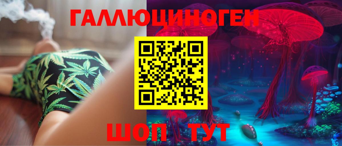 Галлюциногенные грибы Psilocybe Ейск