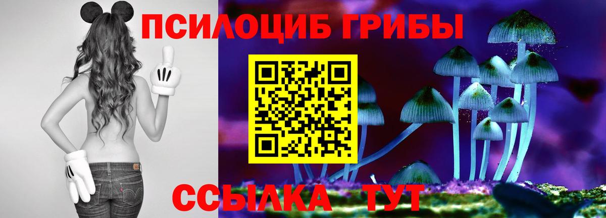 Псилоцибиновые грибы Psilocybine cubensis  Вход с VPN  Ейск  Галлюциногенные грибы GOLDEN TEACHER 